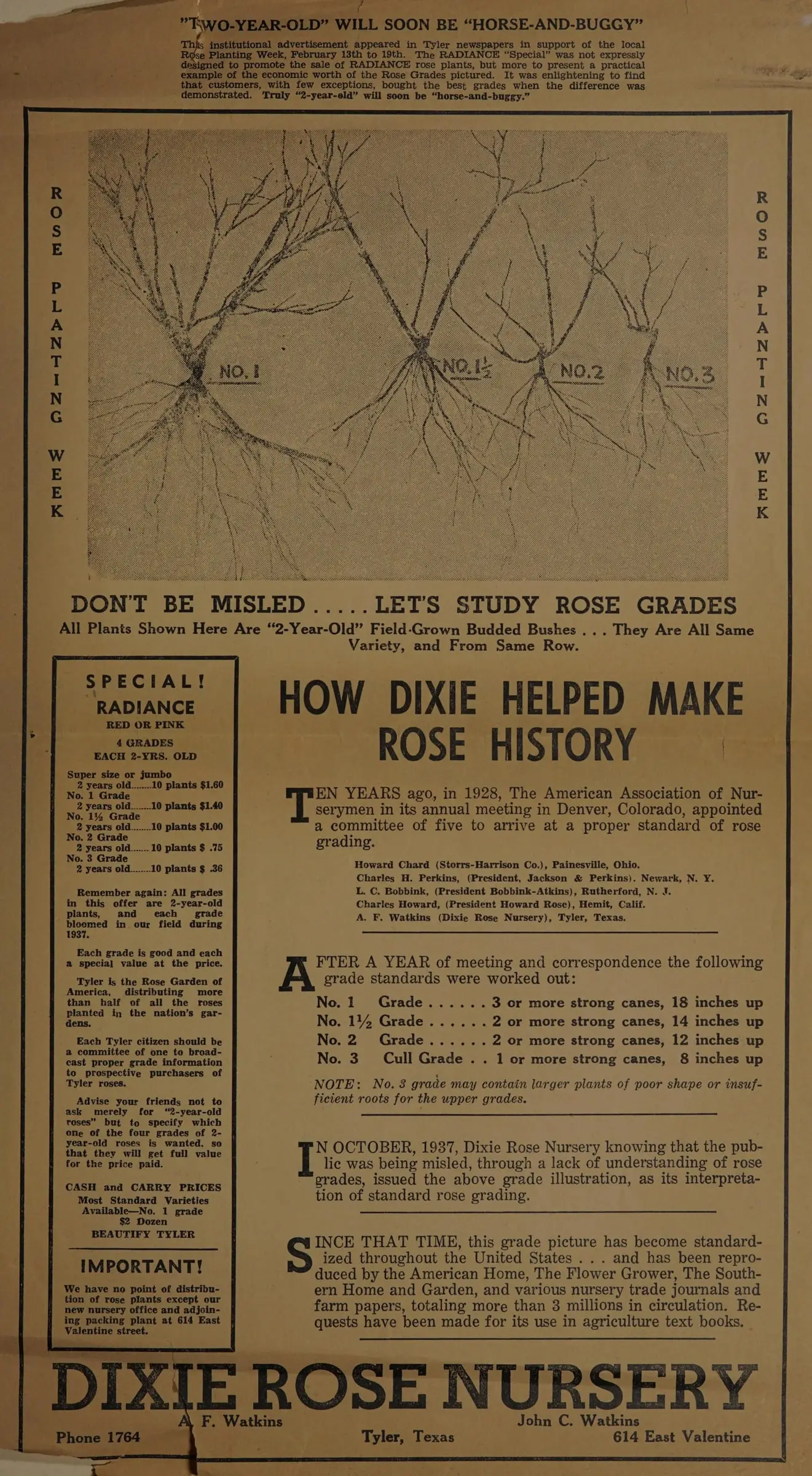 A printed broadside on brown paper. At the top, drawings of four bare-root rose bushes labeled No. 1, No. 1½, No. 2 and No. 3, over the words Don’t be misled, let’s study rose grades. Below, the heading How Dixie Helped Make Rose History, columns of text, and the name Dixie Rose Nursery, Tyler, Texas.