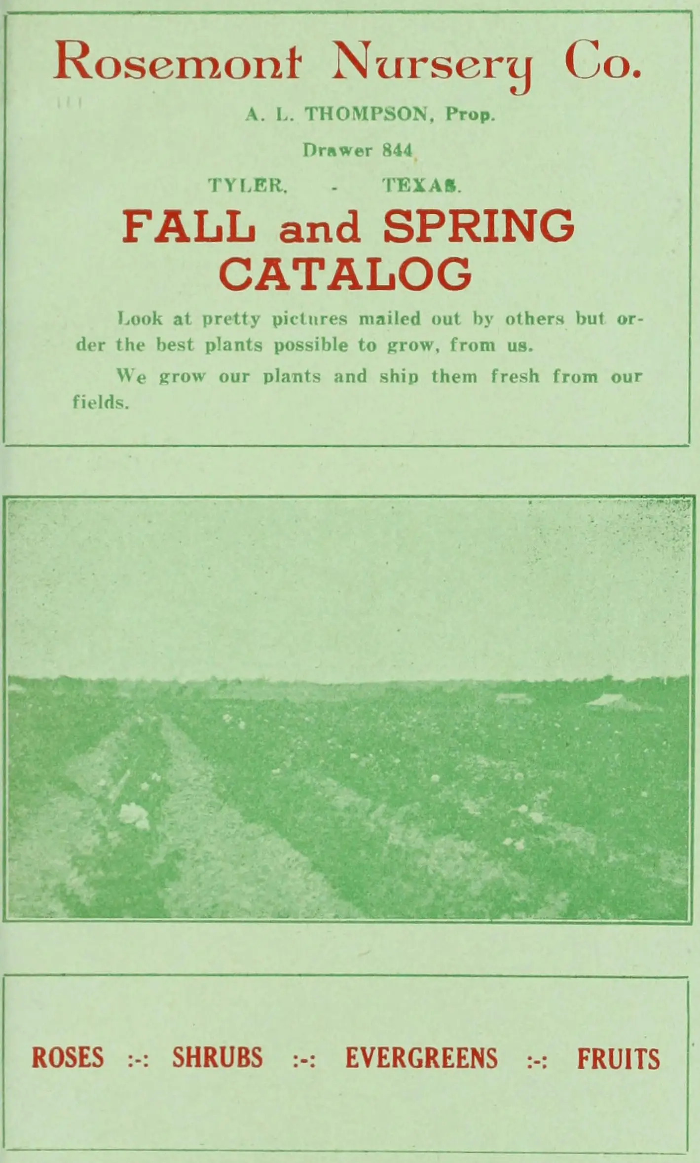 A catalog cover printed in red and green on pale green paper: Rosemont Nursery Co., A. L. Thompson, Prop., Drawer 844, Tyler, Texas. Fall and Spring Catalog. Look at pretty pictures mailed out by others but order the best plants possible to grow, from us. We grow our plants and ship them fresh from our fields. Below, a photograph of a field planted in long rows, and the words Roses, Shrubs, Evergreens, Fruits.