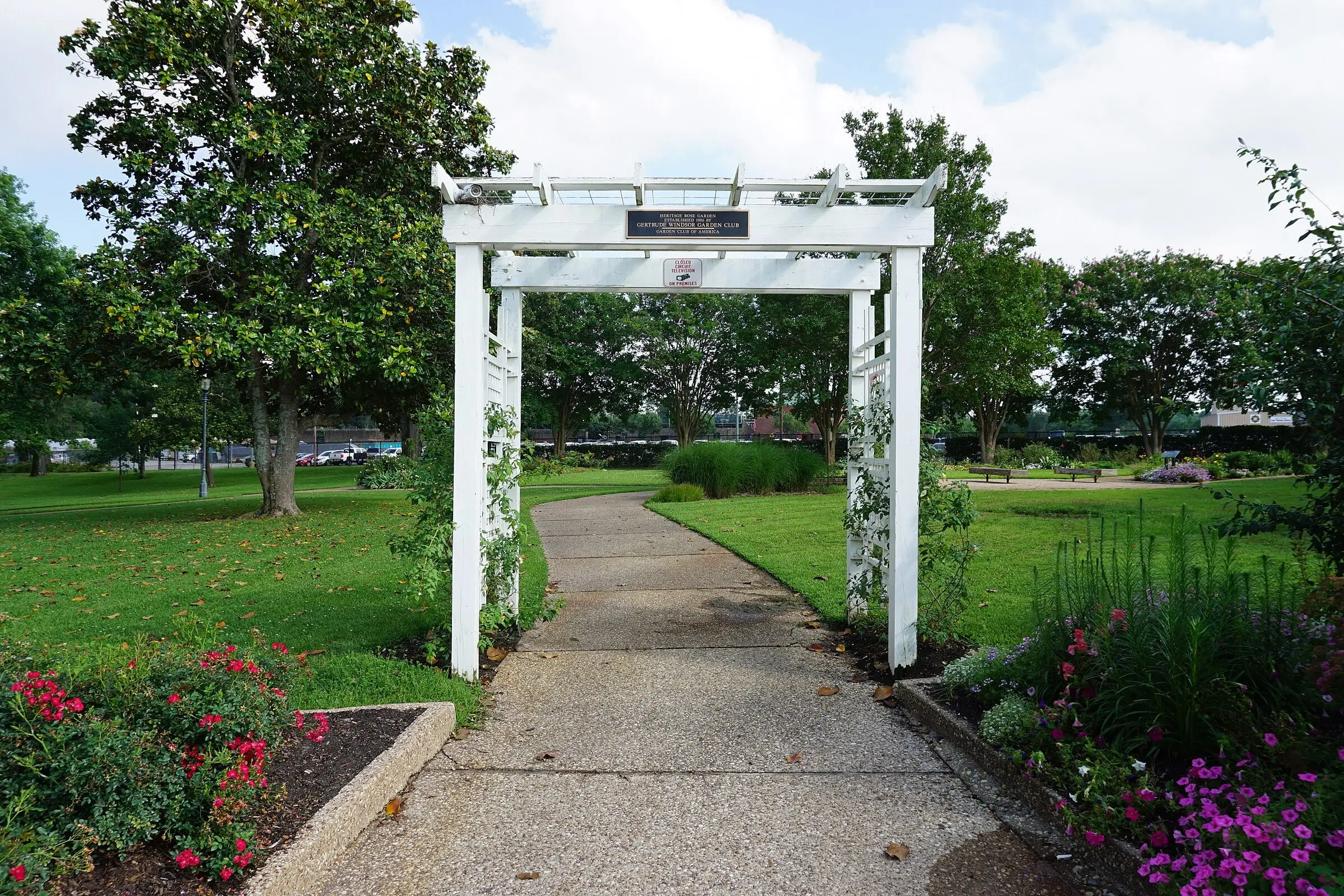 A white arbor over a walk, with beds of red roses and petunias beside it and lawns and trees beyond.