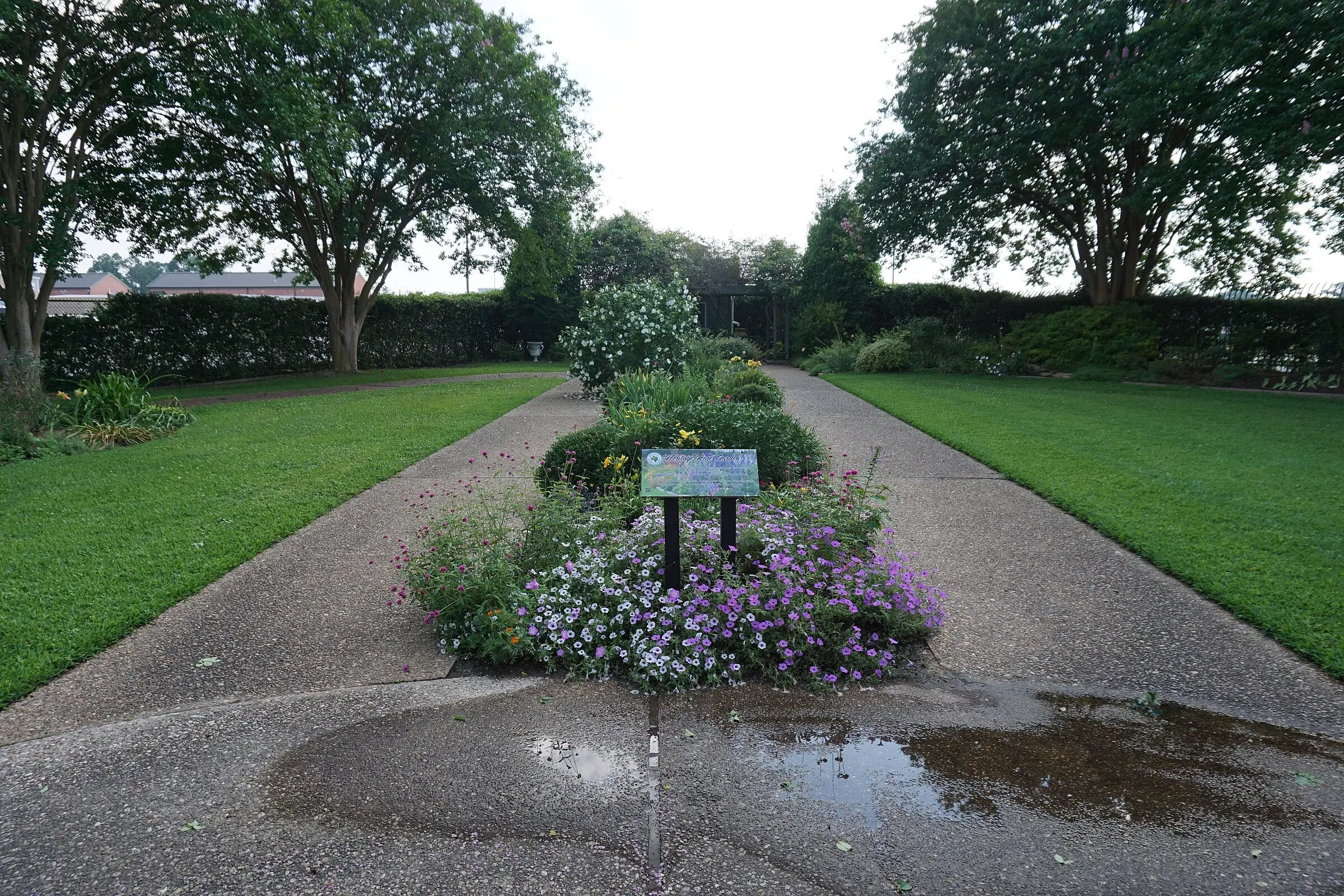 A long flower bed with a small sign runs between two walks, lawns and clipped hedges on either side and large trees beyond.